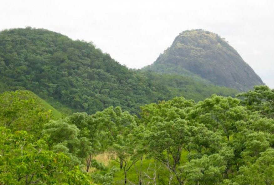 Fazao-Malfakassa National Park, Central & Kara Region, Togo
